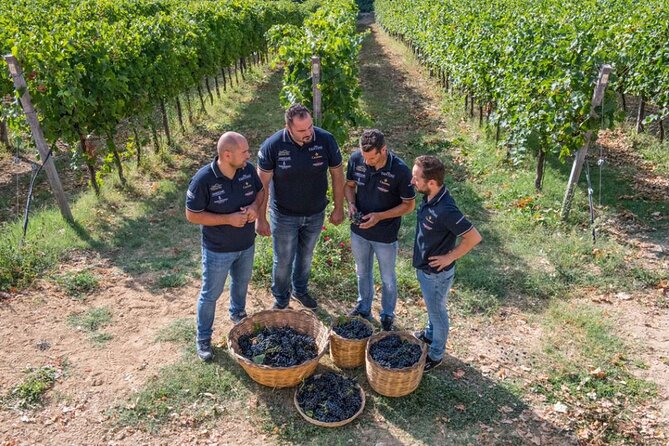 Enogastronomic Visit to Vini Fantini With Tastings