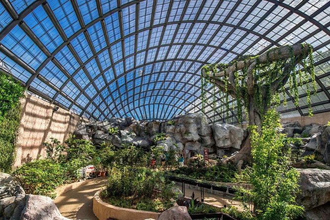 Entopia Penang Butterfly Farm Admission Ticket