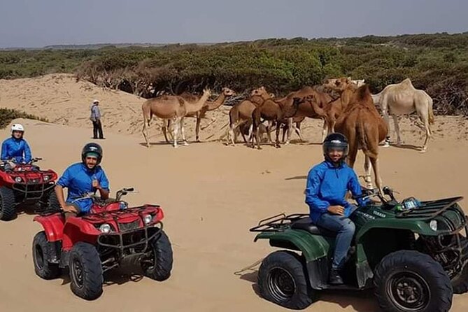 Essaouira: 1 Hour Dromedary + 2 Hours Quad