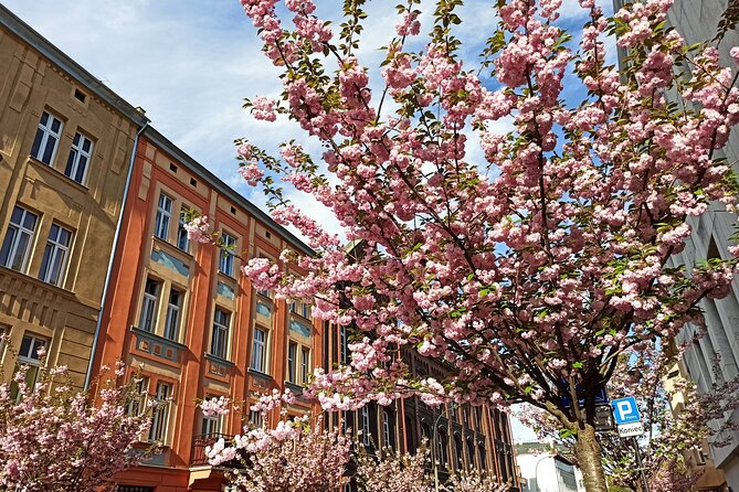 Evening Walking Tour With Dumplings & Beer In Old Jewish Quarter - Tour Overview