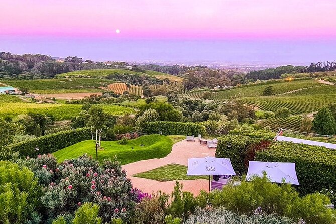 Exclusive Constantia: Private Tour of Cape Towns Wine Country