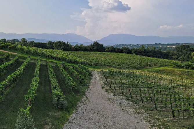 Exclusive Tasting of Superior Prosecco and Amarone - Tasting Menu