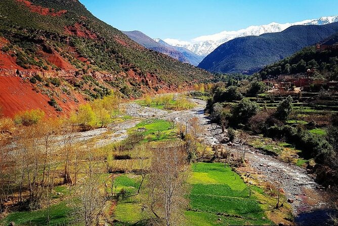 Excursion 3 Valleys of the Atlas Mountains From Marrakech - Inclusions and Amenities