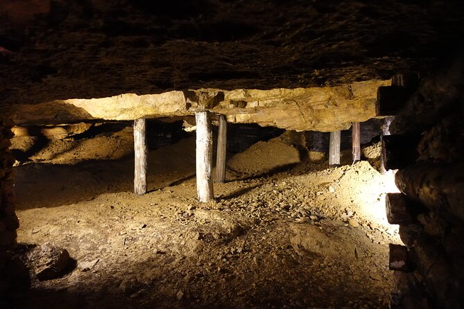Excursion to the Historic Silver Mine and Adito De La Trout Negra