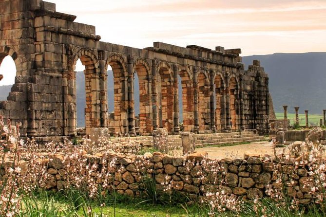 Excursions Volubilis – Moulay Idriss – Meknes (Departure From Fez)