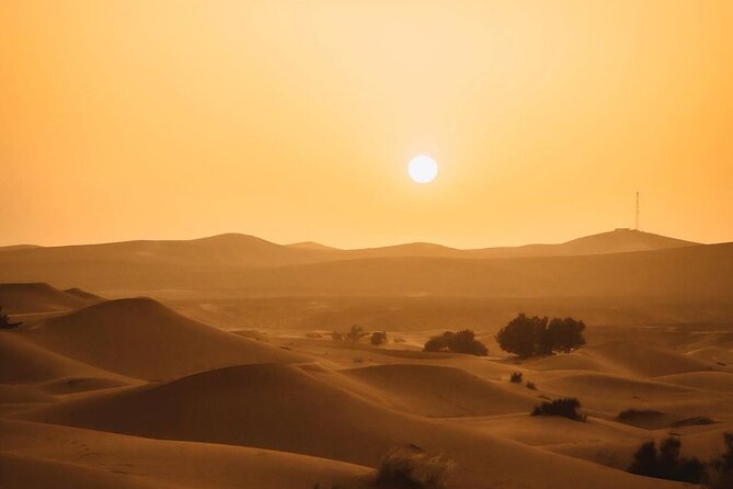 Explore Merzouga With Our Unforgettable Camel Expeditions - Expertly Guided Camel Excursions