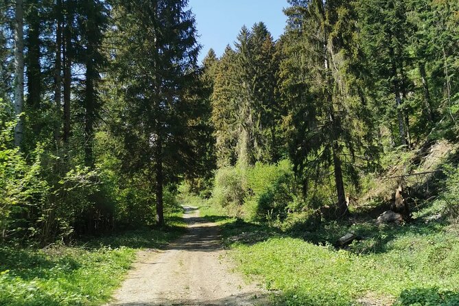 Explore the Beauty of the Carnic Alps by Bicycle - Pricing