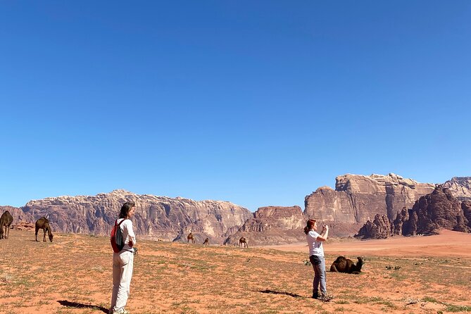 Explore Wadi Rum: Jeep Tour, Bed and Breakfast, and Dinner - Tour Highlights