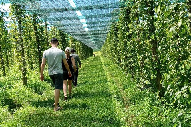Exploring Kampot: a Memorable Tour From Sihanoukville