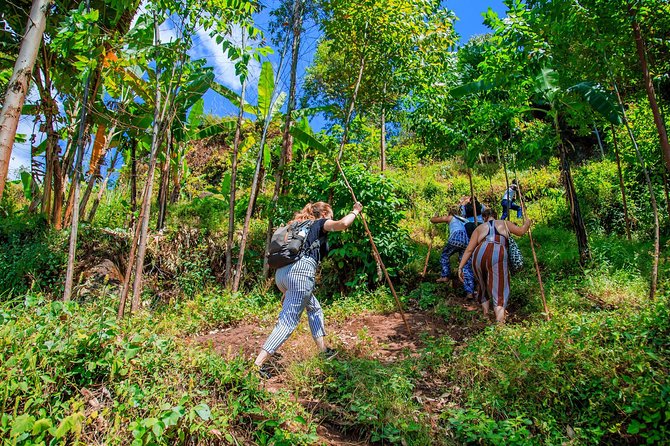 Exploring the EAST 8 Day Uganda Safari - Inclusions and Exclusions