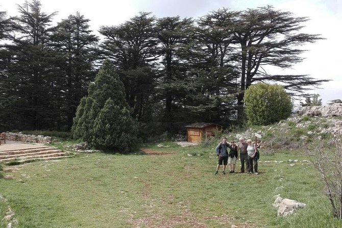 Exploring the Qadisha Valley, Cedars of God, and Baalbek Temples
