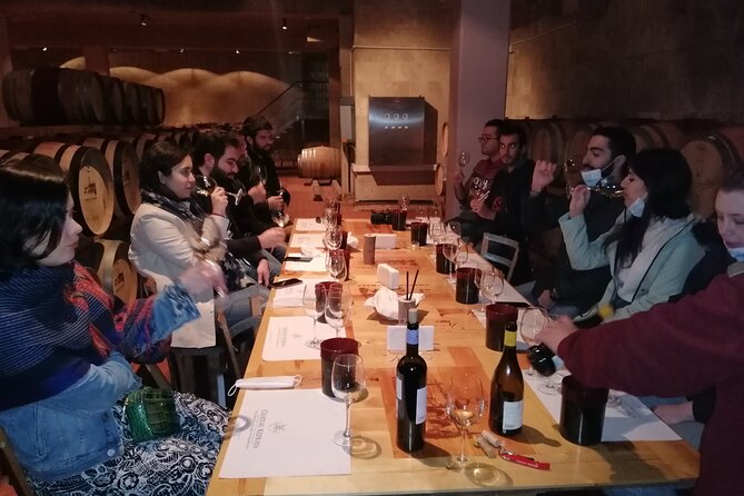 Fabulous Wine Tour to the Bekaa Valey Wineries - What To Expect