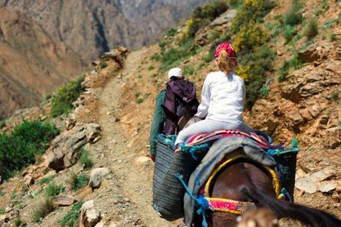 Family Day Tour From Marrakech Atlas Mountains & 3 Valleys With Camel Ride - Camel Ride Experience