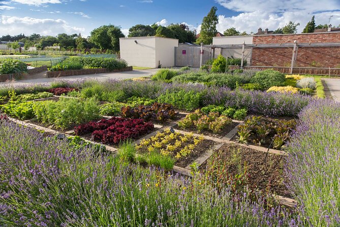 Farm and Gardens Near Dublin City Centre - Vintage Car Collection
