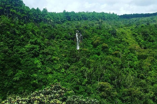 Fascinating Nature Tour Incl Ebony Forest, 7 Coloured Earth,Lunch - Tour Reviews and Ratings