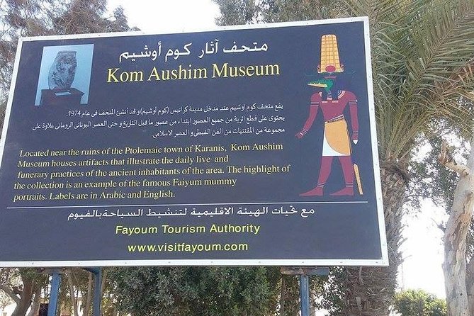 Fayoum Oasis & Wadi Al Rian Day Tour From Cairo - Itinerary Highlights