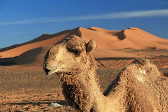Fes Desert Tour 2 Days