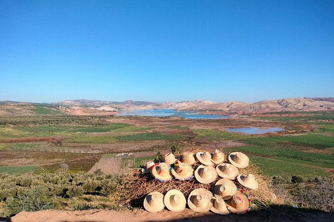 Fès to Volubilis, Moulay Idriss and Meknès Private Day Trip