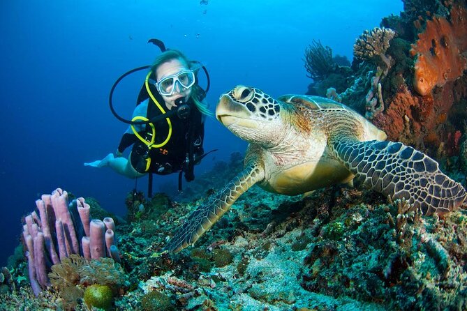 Fethiye Scuba Diving - Two Dives With Professional Instructor - Requirements