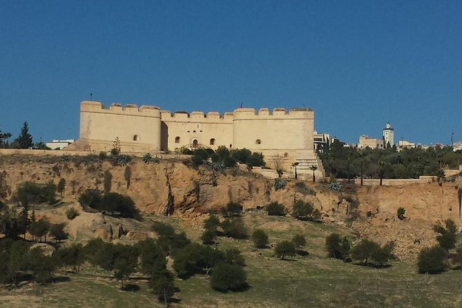 Fez Rampart Tour Including Chouara Tannery - Tannery Visit Details