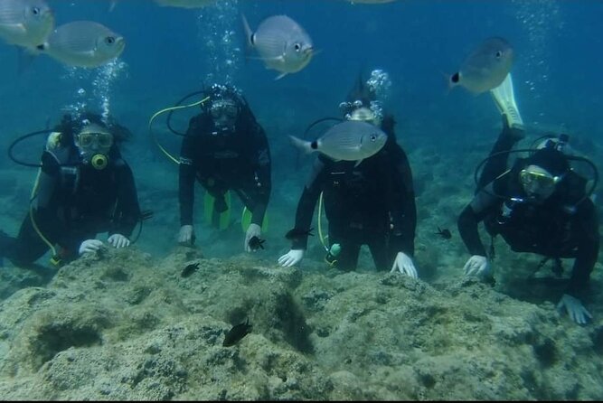 First Time Scuba Dive Adventure, Makronissos, Ayia Napa - Location Details