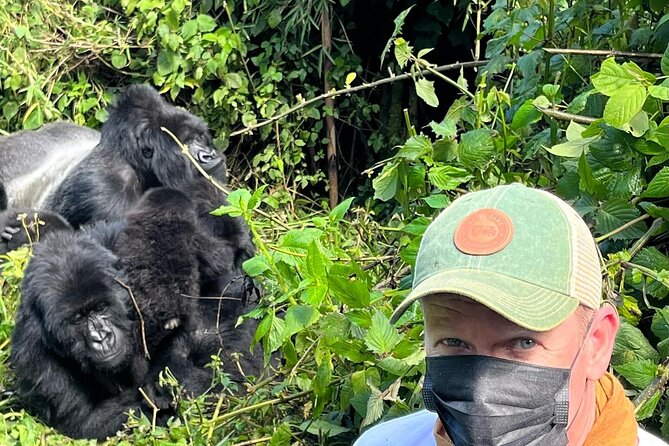 Five Day Highlights of Rwanda Tour - Day 2: Golden Monkey Trekking