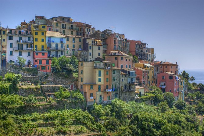 Food Tour Around Cinque Terre: From Focaccia to Pesto Ice-Cream and Wines - Good To Know