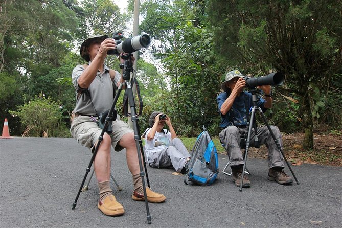 Frasers Hill Bird-Watching & Nature Sightseeing Tour From Kuala Lumpur - Tour Overview