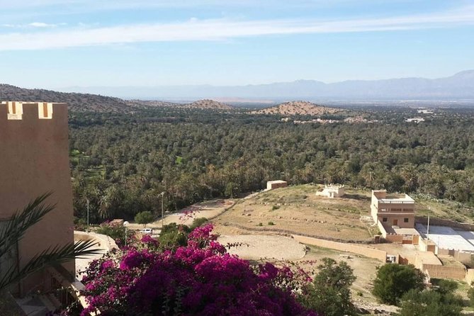 From Agadir Hotel or Port : Taroudant and Tiout Oasis