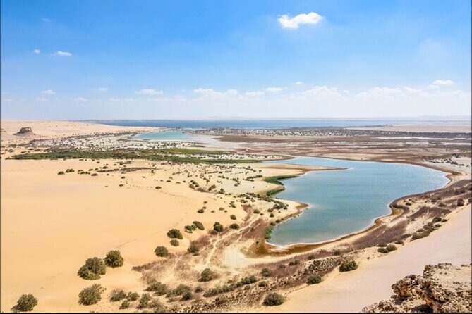 From Cairo to Whales Valley and Wadi El Rayan Waterfalls - Experiencing Cairos Vibrant Culture