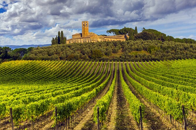 From Florence: WineTour Siena and Chianti 2 Wineries & Lunch - Tour Overview