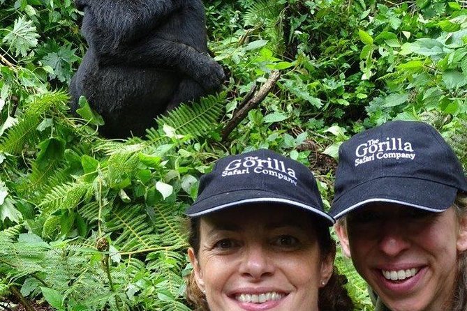 From Kigali: 3 Days Gorillas and Golden Monkeys Trek Adventure - Itinerary Details