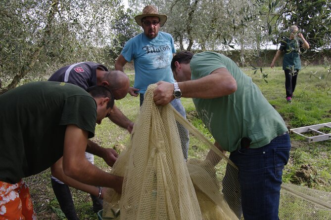 From Olives to Oil: Tasting With Lunch or Dinner - Experience Details
