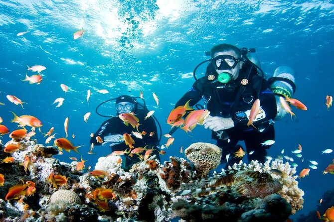 From Side, Alanya: Scuba Diving With 2 Time Dive & Lunch - Dive Details