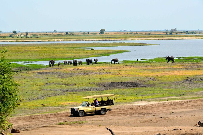 From Victoria Falls: a Full Day Chobe Safari With Lunch - Booking Information