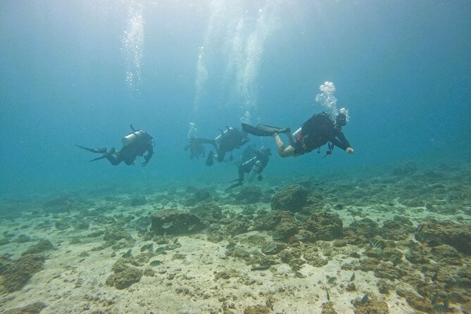 Fujairah Scuba Diving for Certified Divers From Abu Dhabi - Scuba Diving Location