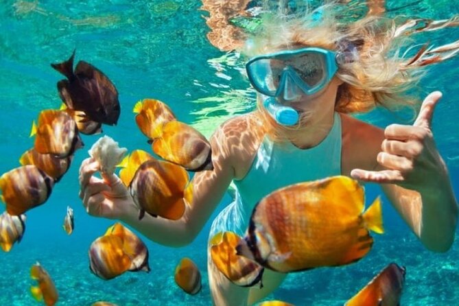 Full-Day Blue Lagoon and Sandbank Boat Tour From Zanzibar - Inclusions and Exclusions
