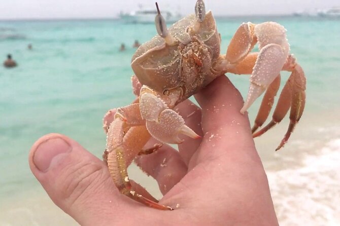 Full Day Boat Trip to Eden Island With Snorkeling - Inclusions and Amenities