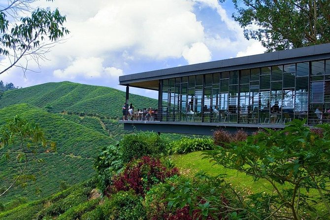 Full Day Cameron Highlands Nature Tour - Tour Details