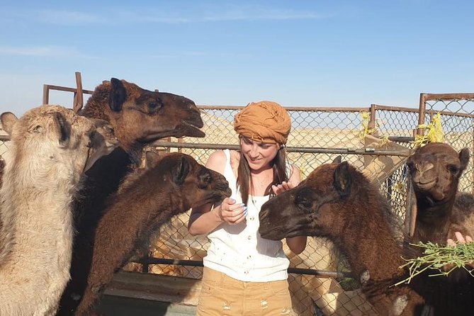 Full Day Desert and Sunset Tour in the Empty Quarter Desert - Location and Duration