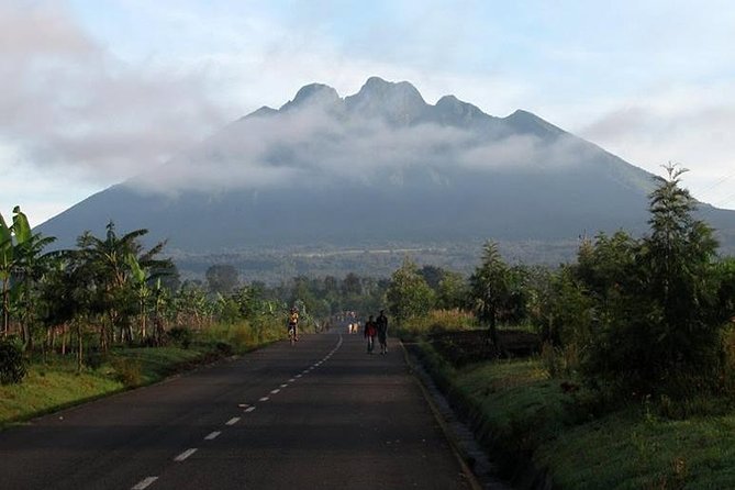 Full-Day Gorilla Trekking in Rwanda