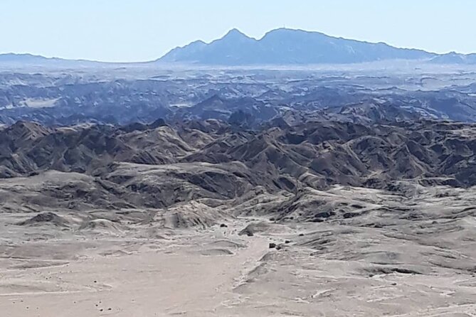 Full Day Guided Tour to Swakopmund and Namib Desert Highlights - Accessibility and Restrictions