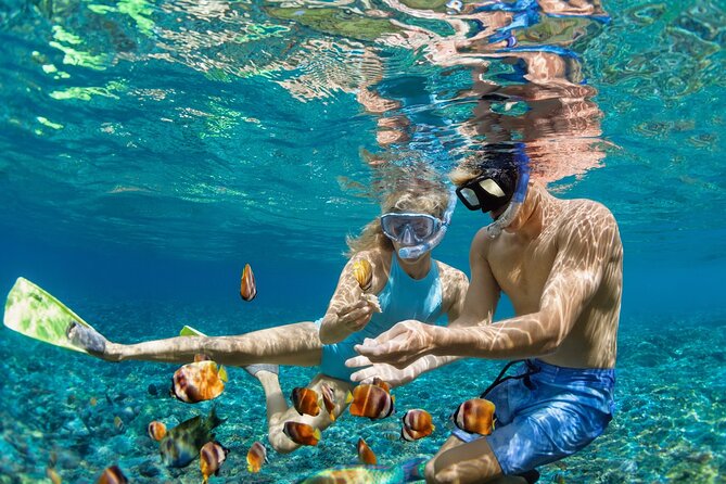 Full Day Hamata Snorkeling Experience From Marsa Alam
