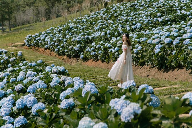 Full-Day Highlight of Da Lat –The Famous Tourist Attractions 2024