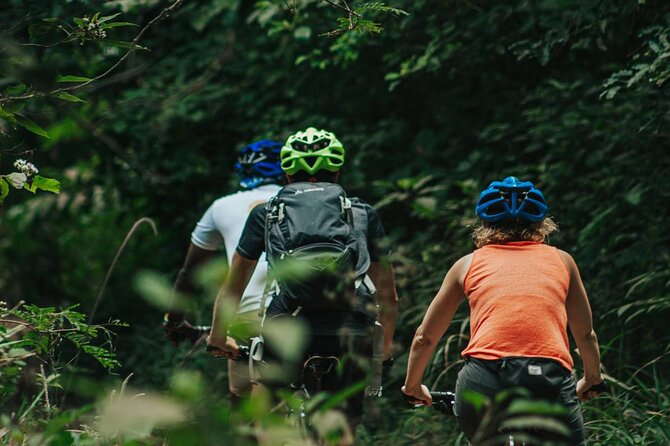 Full-Day Monkey Forest Cycling Adventure From Moshi - Meeting and Pickup