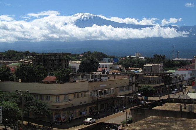 Full-Day Moshi Private Forest Walk and Local Market Tour - Tour Details