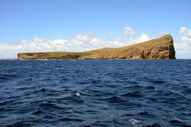 Full-Day Northern Catamaran Cruise: Coin De Mire and Ile Plate Island - Detailed Itinerary