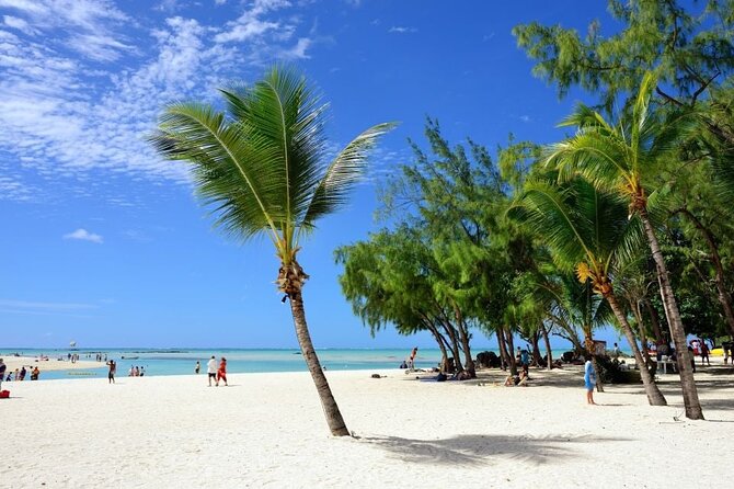 Full Day Private Catamaran Adventure in Ile Aux Cerfs