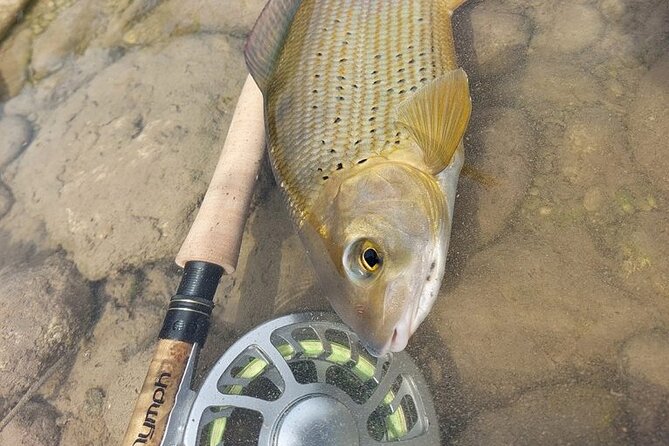 Full Day Private Guided Fishing Charter Along the Isonzo Front - Inclusions