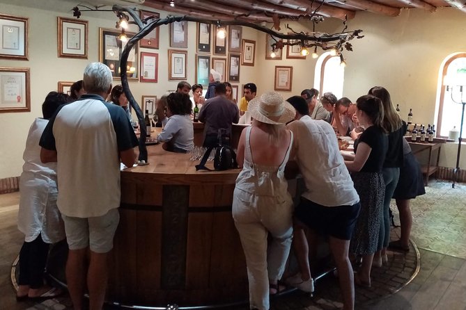 Full-Day Private Guided Wine Tasting Tour of Cape Wineries - Tour Overview